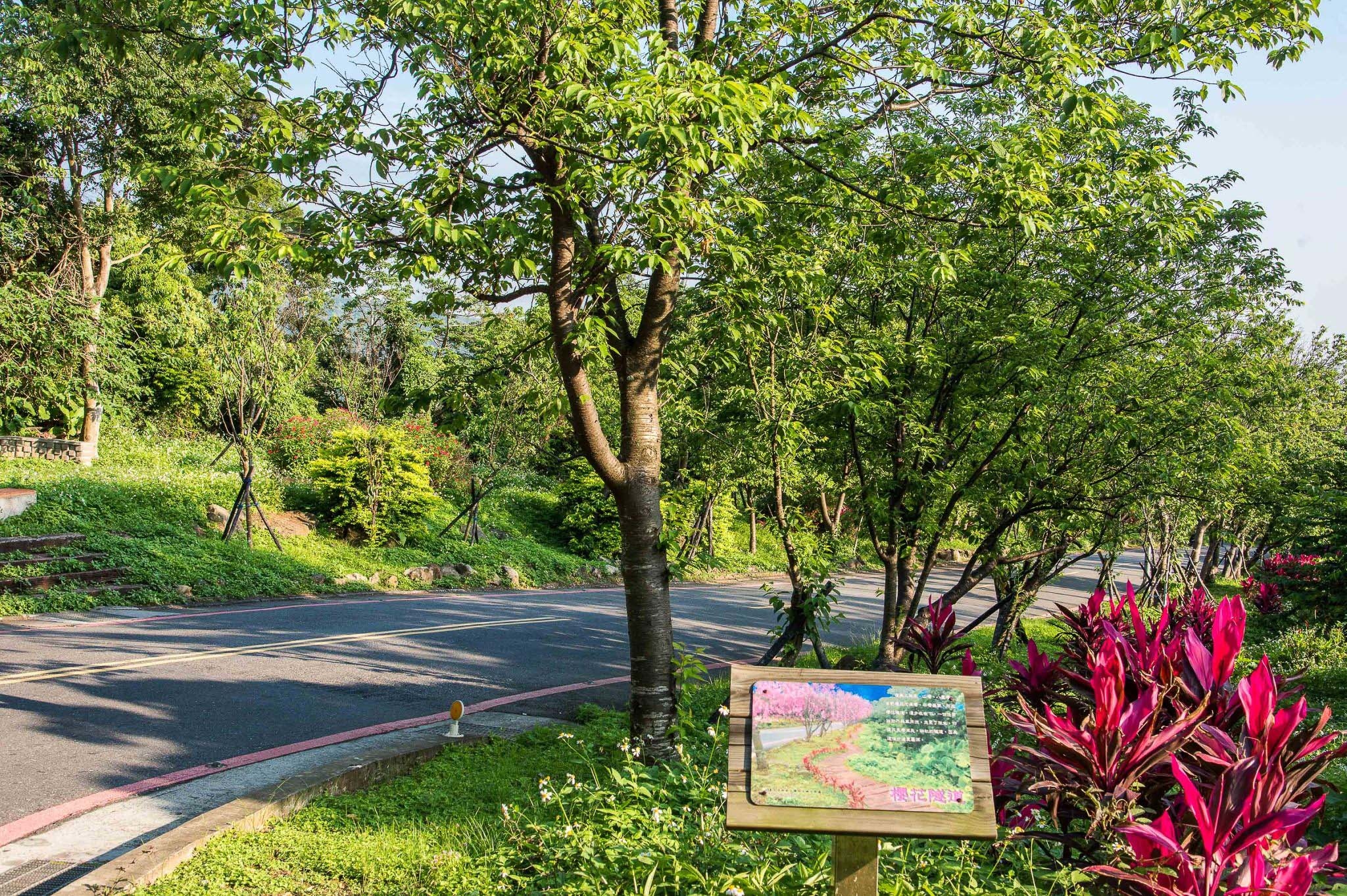 IMG_0543.jpg