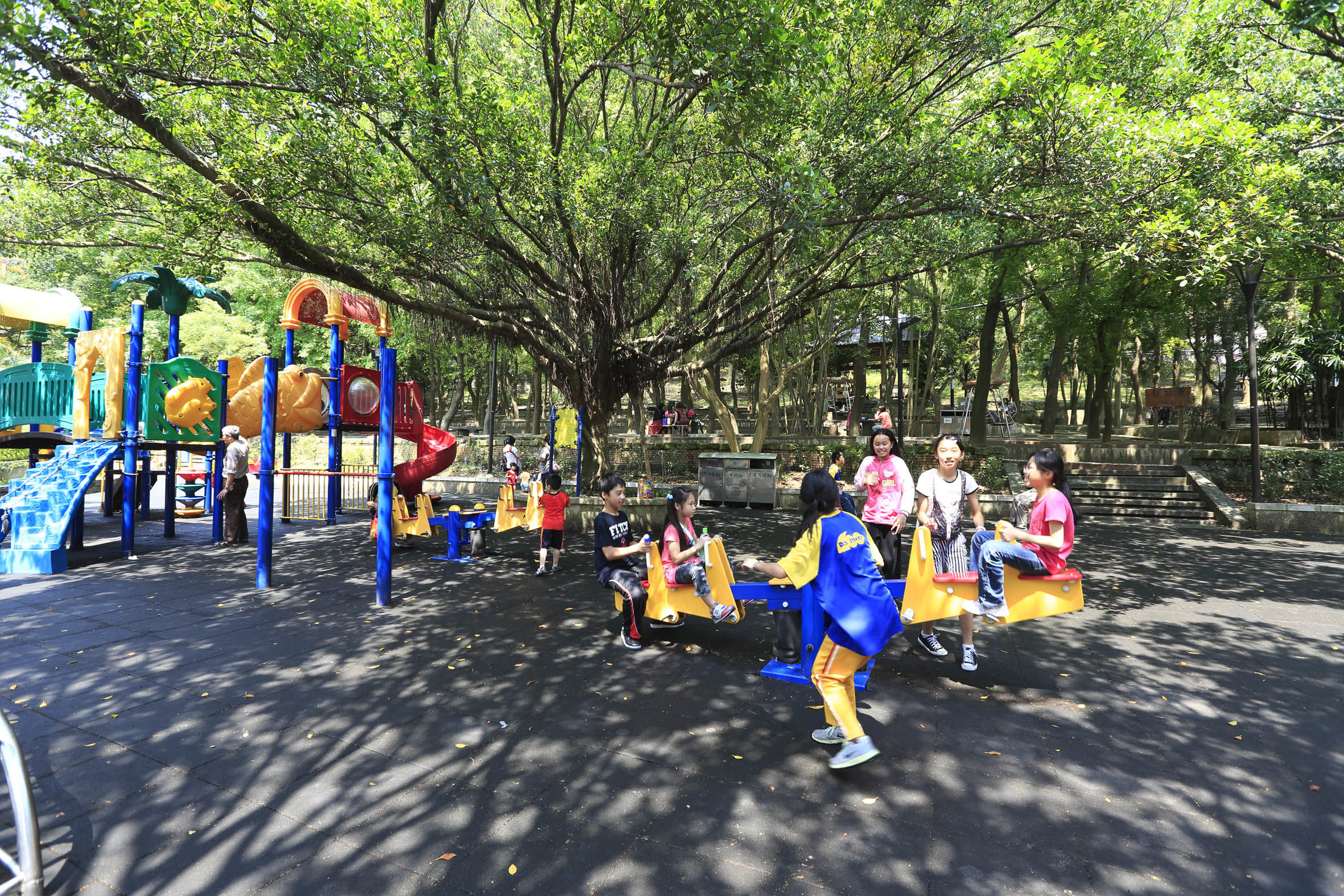 虎頭山公園.jpg