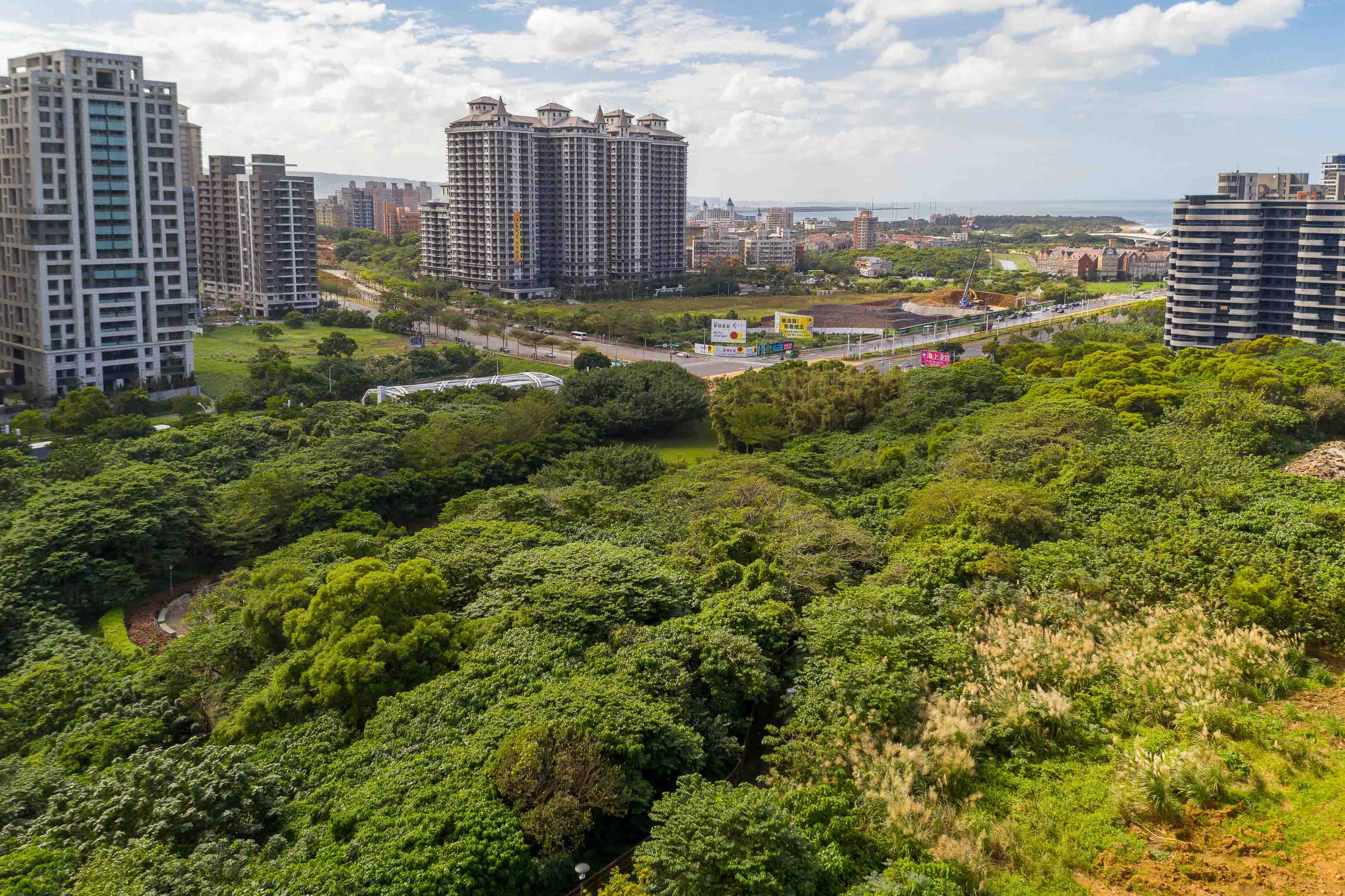 DJI_0790.jpg